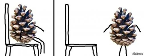 Симпатичные девушки в коротких шортах