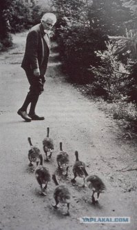 дело Лоренца живёт)