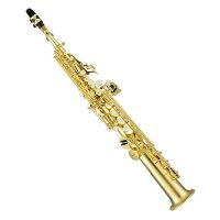 это саксофон-сопрано