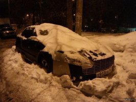 тем временем в Самаре, свои подснежники