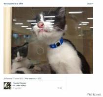 Подборка интеллектуального юмора