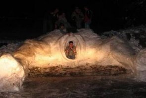 Подснежники, они такие разные!