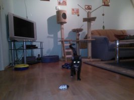 Примерно так