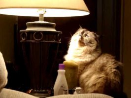 Задержание британцев под Моздоком... и как это было 150 лет назад