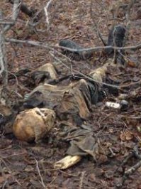 Украинские "подснежники" Донбасса