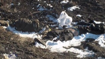 Украинские "подснежники" Донбасса