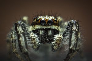 Да если бы <span style='color:gray'>[мат]</span>…