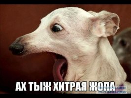 Оригинальная идея для замены стойки