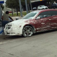 Гигантские голуби-монстры?