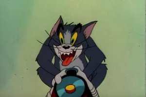 Животные раздевают девушек