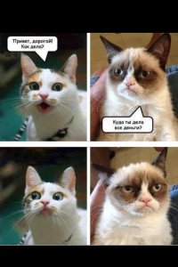 Хитрый зайчик съел все конфеты