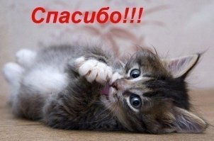 Мужик достал из под фуры котенка , и за это ему спасибо