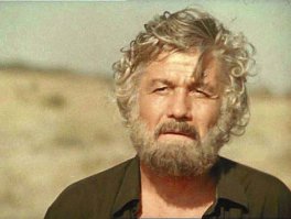 подье..ал шоле?