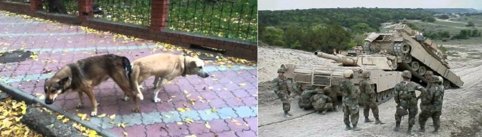 20 людей, которые сами поставили себя в затруднительное положение