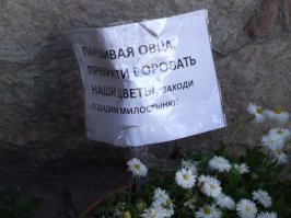 из личных наблюдений )