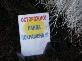 Смешные надписи и объявления