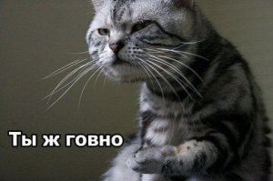 Падение самолета при повторной посадке Ростов-на-Дону