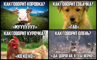 В - верность!