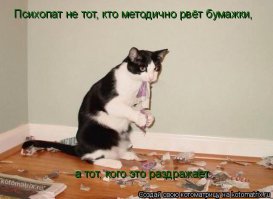 Признаки, по которым можно определить психопата