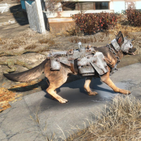 Нужно больше защиты!