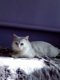 Мои тоже хорошенькие. Хотя целыми днями их фотографировать нет ни времени ни желания