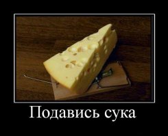 Супер мышеловка!