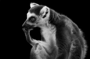 Некоторые факты вызывают сомнения, но все-таки интересненько