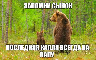 Мишки