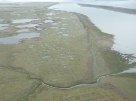 Может я конспиролог...но как-то странно выглядят на Острове Среднем, местные болота... больно похоже на затопленные и ушедшие под болота города :)