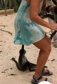 МИХАЛЫЧ !!! ЗАТЫЧКУ И КЛЮЧ НА 32!!!