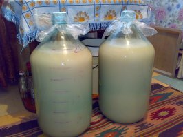 Что-то у автора всё в таких мизерных дозах!  
Вот моё (всё хочу пост замутить, но то некогда, то лень).
И по поводу воды.  Уходит на ДВА перегона 1,5 куба х.в. При цене 7 руб. за куб это практически даром. И на фото3- углевание.