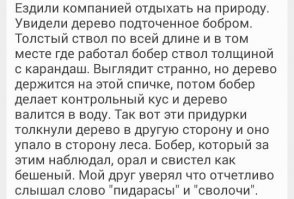 А напоследок дерево решило отомстить