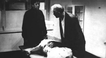 -А может выживет,теплый еще.
-Он постарается.