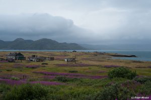 остров кильдин до мурманска только на корабле или вертолете, там срочники два года канал звезда смотрят