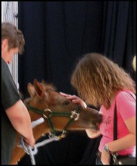 Животные раздевают девушек