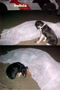 Подборка фотографий, просматривая которые, стоит задуматься