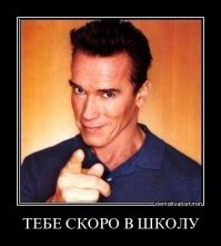 Самый удачный год в истории кино