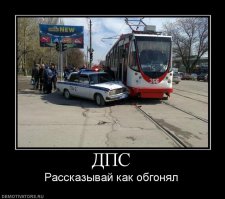 Курьезные дорожно-транспортные происшествия 