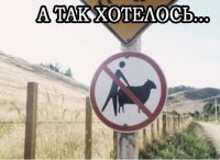 В понедельник не помешает немного юмора