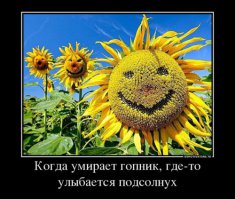 Заряд позитива на весь день от подборки демотиваторов