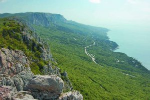 Когда можжевельник в мае цветет, очень полезно дышать