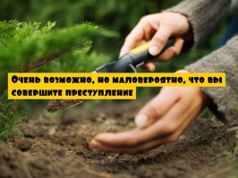 Тест: Вы способны на преступление? (15 вопросов)