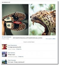 Комментарии и "баяны" из социальных сетей