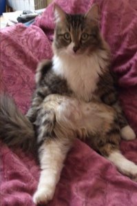 Вот за это фото - отдельное спасибо!