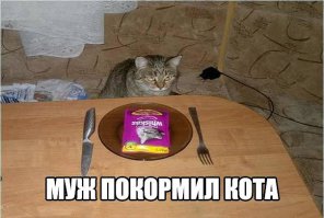 Вы плохо знаете котов (1 фото+видео)
