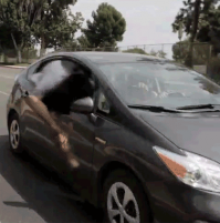 на пол секунды ошибся и пол жопы валяется на улице.