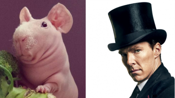 Напомнило)))