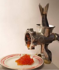 Красиво жить не запретишь