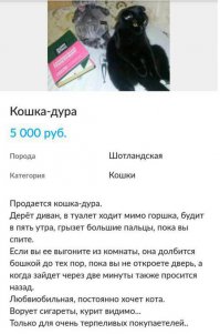 Вы плохо знаете котов (1 фото+видео)