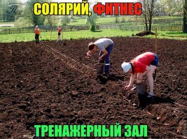 С праздником, дорогие дачане! Ой, опечатка... Дачники!